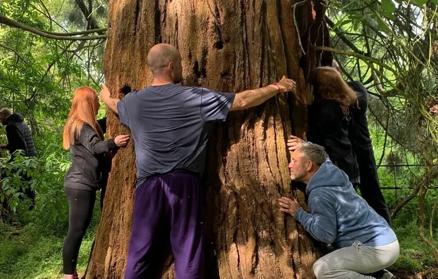 3 Day Mindfulness and Meditation Retreat for Everyone in Winslow, Buckingham