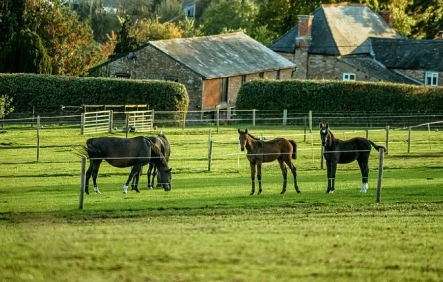 3 Day Ayurveda, Yoga, and Mindfulness Retreat in Hereford, England
