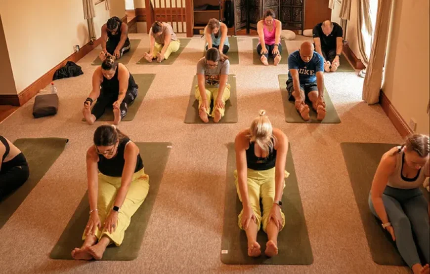 3 Day Ayurveda, Yoga, and Mindfulness Retreat in Hereford, England